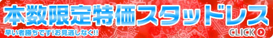本数限定特価スタッドレス
